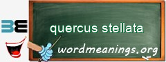 WordMeaning blackboard for quercus stellata